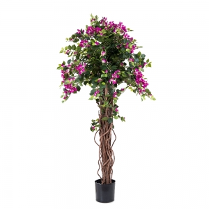 BOUGAINVILLEA TREE LILAC YELLOW (YAPAY)