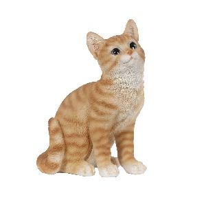 AKSESUAR KEDİ 