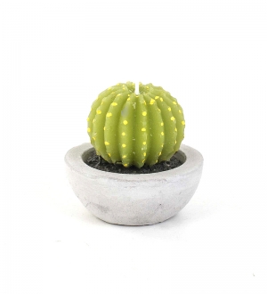 MUM KAKTÜS SAKSIDA 6 X 6,5 CM