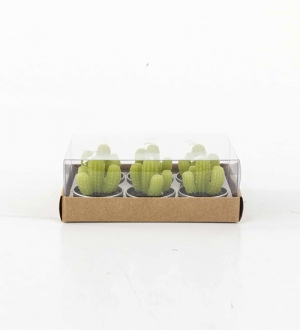 MUM KAKTÜS SETİ TEALIGHT 4 X 4,5 CM 6'LI PAKET
