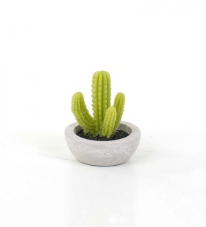 SAKSILI KAKTÜS MUM 8,5 X 10 CM