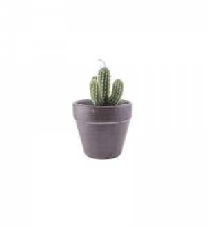 DEKORATİF KAKTÜS MUM SAKSIDA 6,5 CM