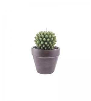 KAKTÜS MUM SAKSIDA 6,5 CM