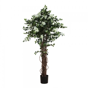 Bougainvillean Tree Cream White (Yapay)