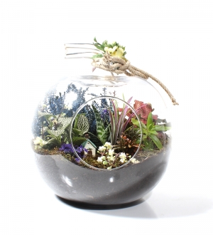 Jumbo Elma Camda Terrarium Bahçesi