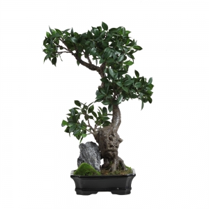 YAPAY BONZAI TREE