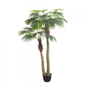 FAM PALM TREE (YAPAY)